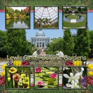 Lewis Ginger Botanic Gardens, Richmond, Virginia
