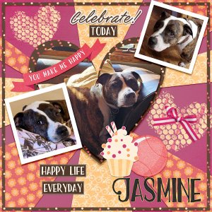Happy Jasmine