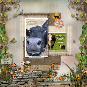 GSTempCh2-1119-Hollybee111319