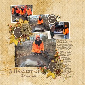 Harvest Of Memories