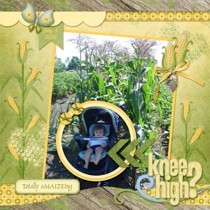 Knee High?