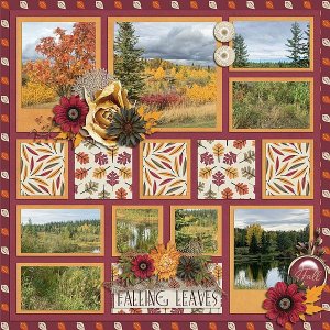 Falling Leaves