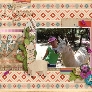 Llamas at France