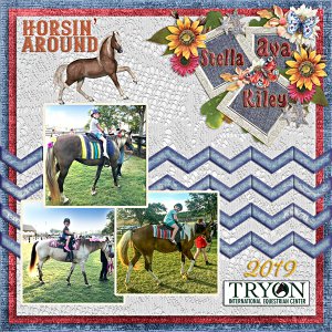 Ava Tryon equestrian Center