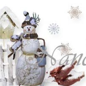 siggy december.