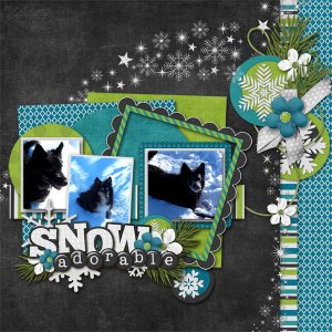 Snow Adorable
