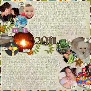 Our 2011