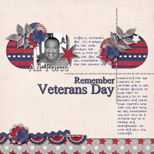 Remember Veteran's Day