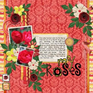 My Roses