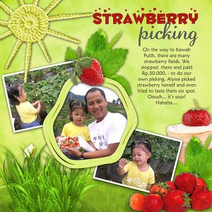 Strawberry picking
