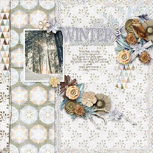Winter Woodland