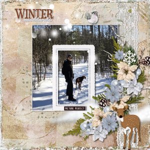 Winter Walk