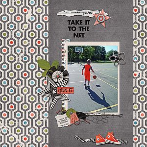 Take it to the Net