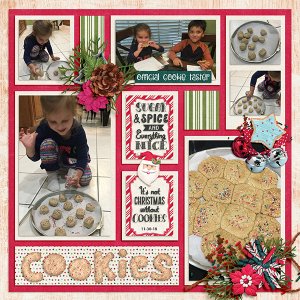 Making Cookies