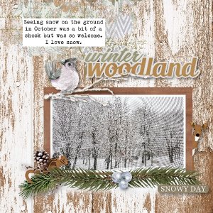 Winter Woodland