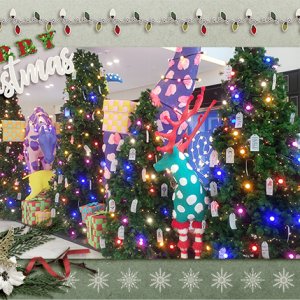 Christmas Shopping 2
