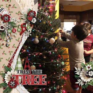 trimtree2018