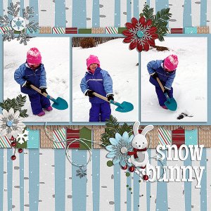snow bunny