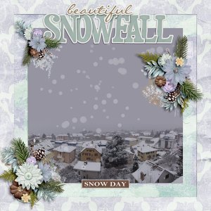 Beautiful Snow Fall