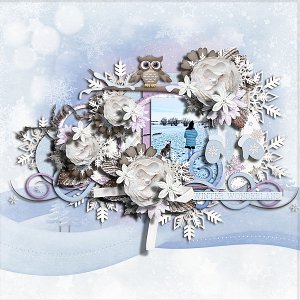 Winter wonderland