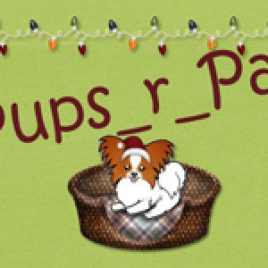 GS - Christmas 2019