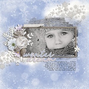 Winter Dream