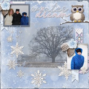 Dreaming of Winter