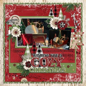 Wishing you a Cozy Christmas