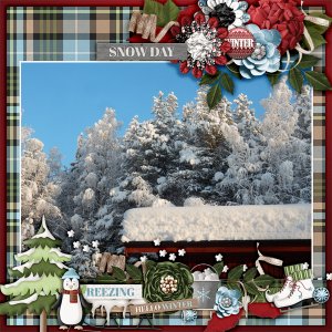 Snow-day16