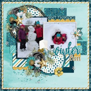 winter fun