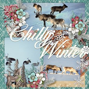 Chilly-winter