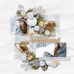 Winter Woodland