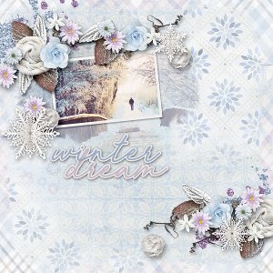 Winter Dream