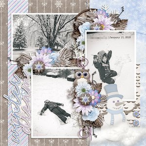 Winter Dream