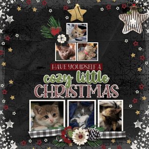 Cozy Christmas