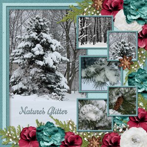 Nature's Glitter