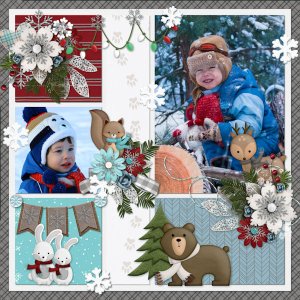 Winter Critters