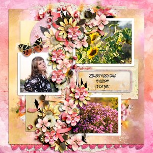 Bloom