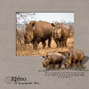 Rhino at Gezantfombi Dam