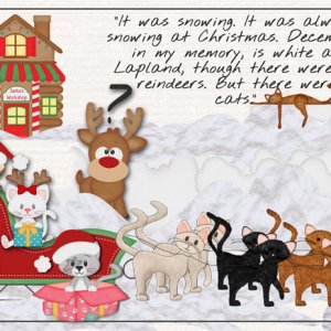 But there were cats