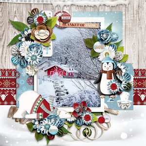 Blanket Of Snow