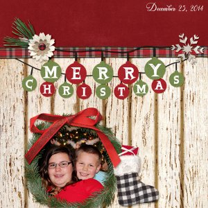 2014 Christmas Picture