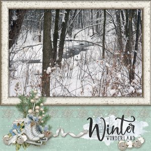 Winter Wonderland