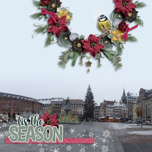 Tis the Season