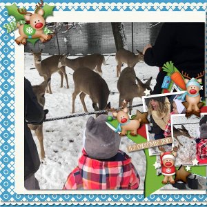Deer Tracks 2