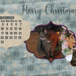 December 2019 Desktop Challenge