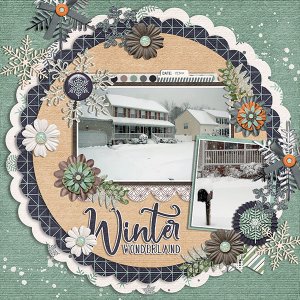 winter wonderland