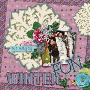 Winter Fun