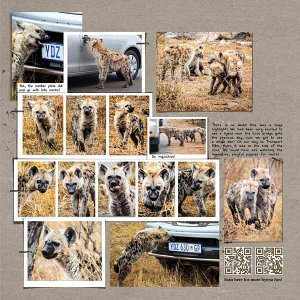 The Hyena Den LHS