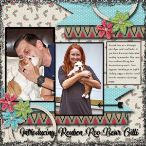 Introducing Reuben Roo Bear Gilli